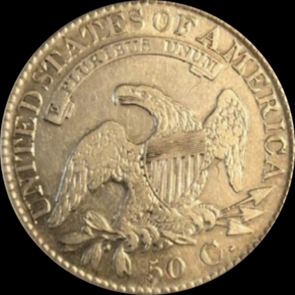 131r.jpg