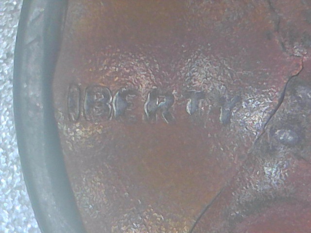 1321994902313.jpg