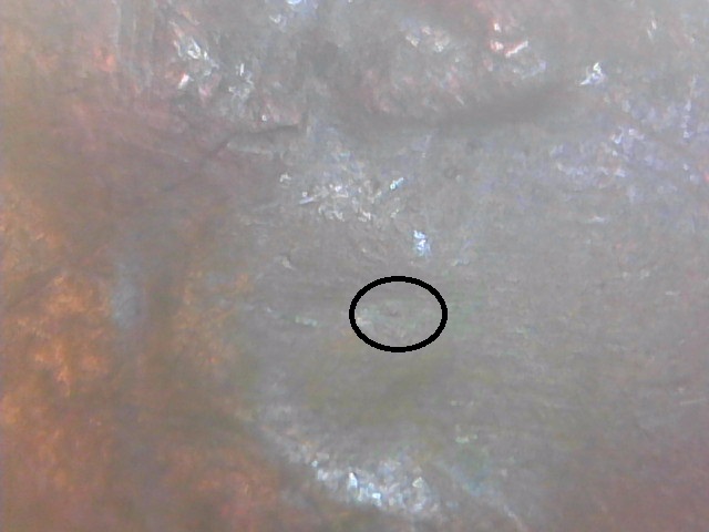 1322695459400.jpg