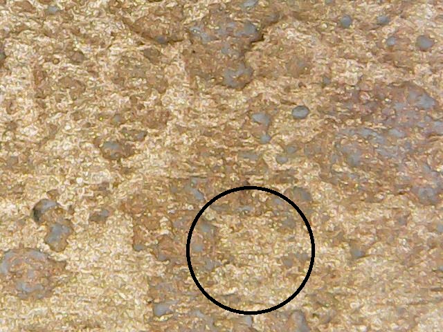 1327396559262_circled.jpg