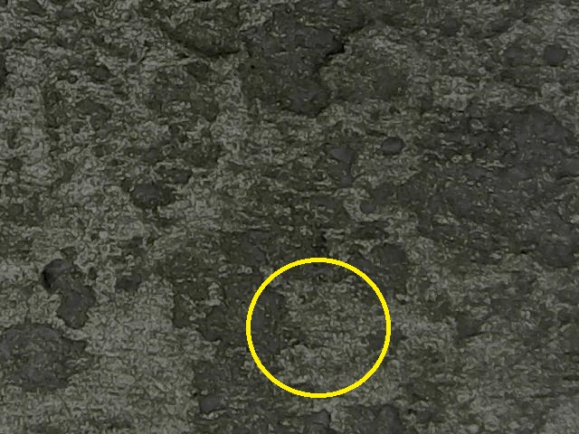 1327396571667_circled.jpg