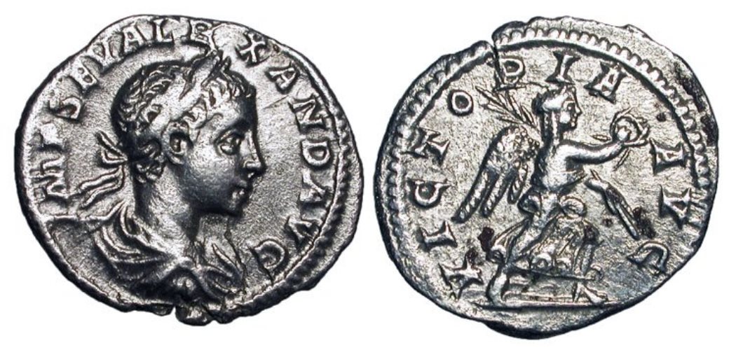 1334801.jpg
