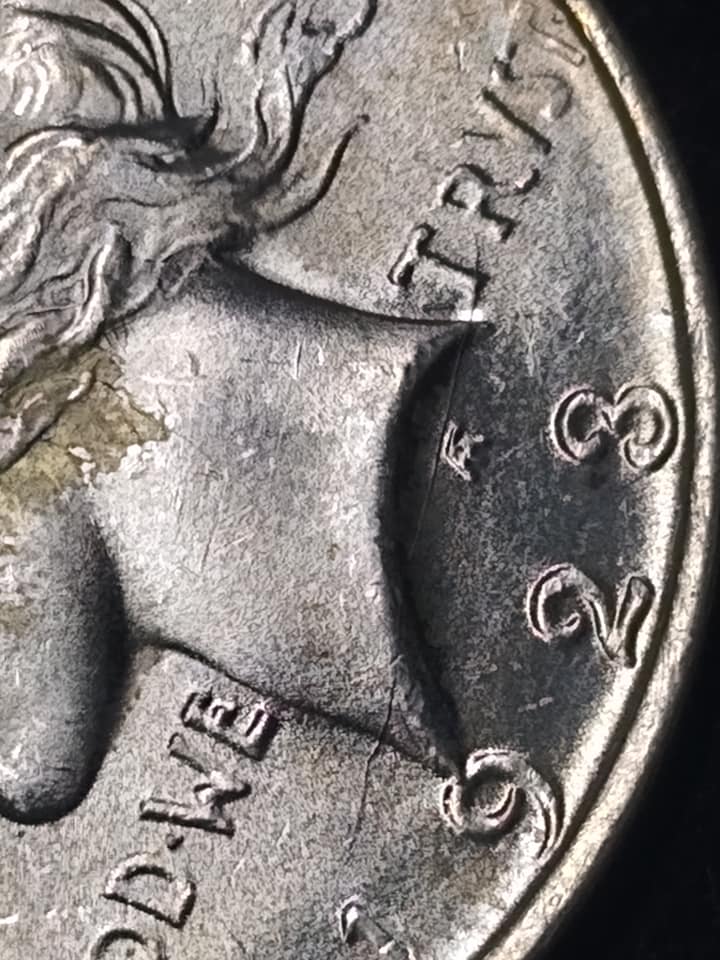 133573408_10220572404486113_7381443352133685972_n.jpg