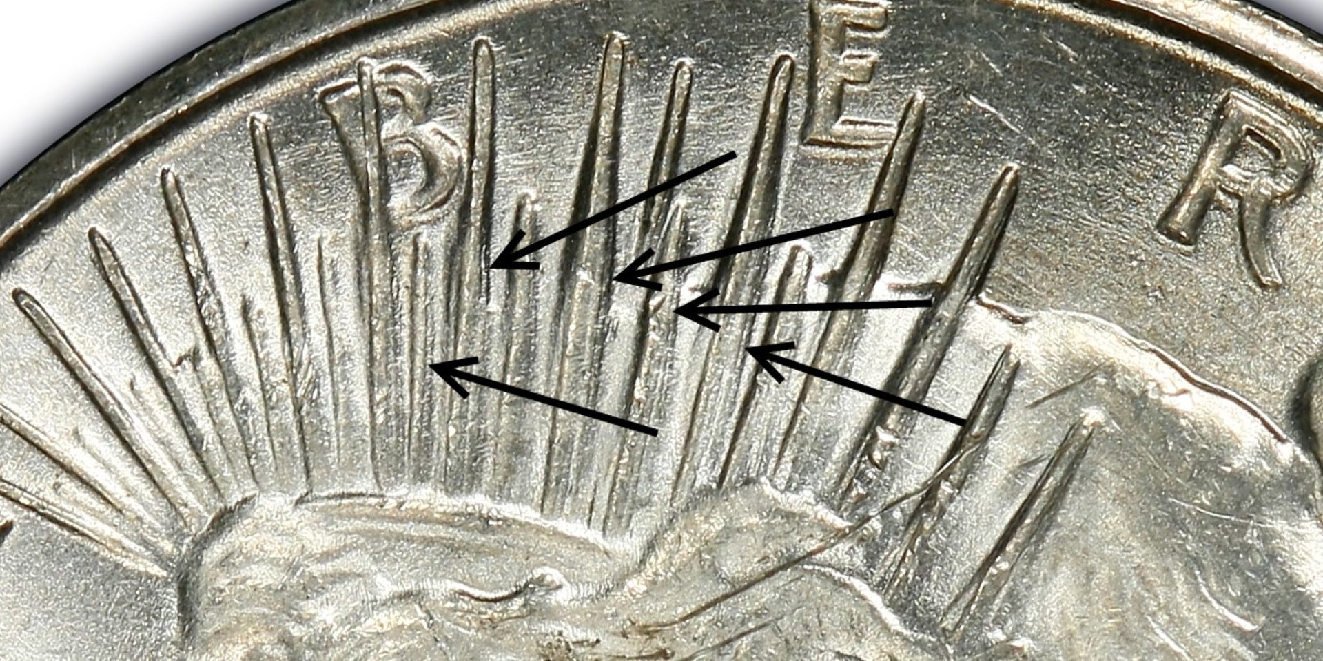 133782_37657672_2200.jpg