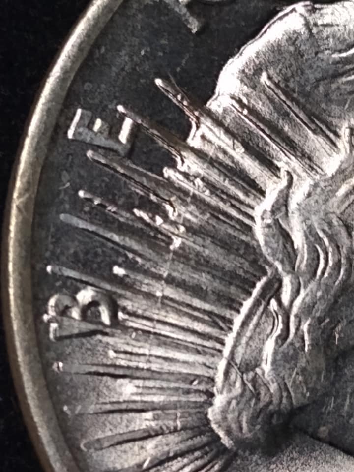 133845432_10220572405086128_9109183633635584675_n.jpg