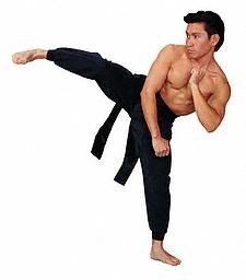 1360471939_Karate_Kick.jpg