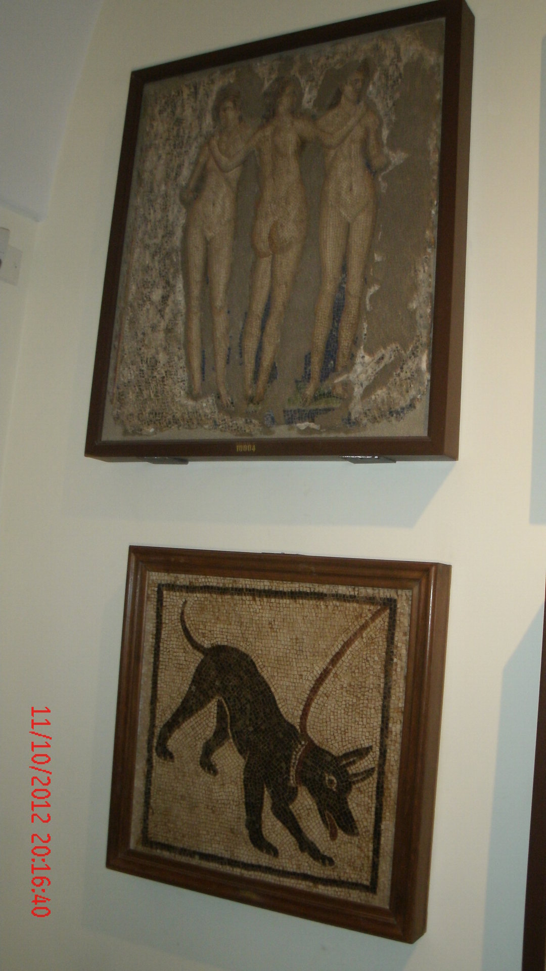 1368.jpg