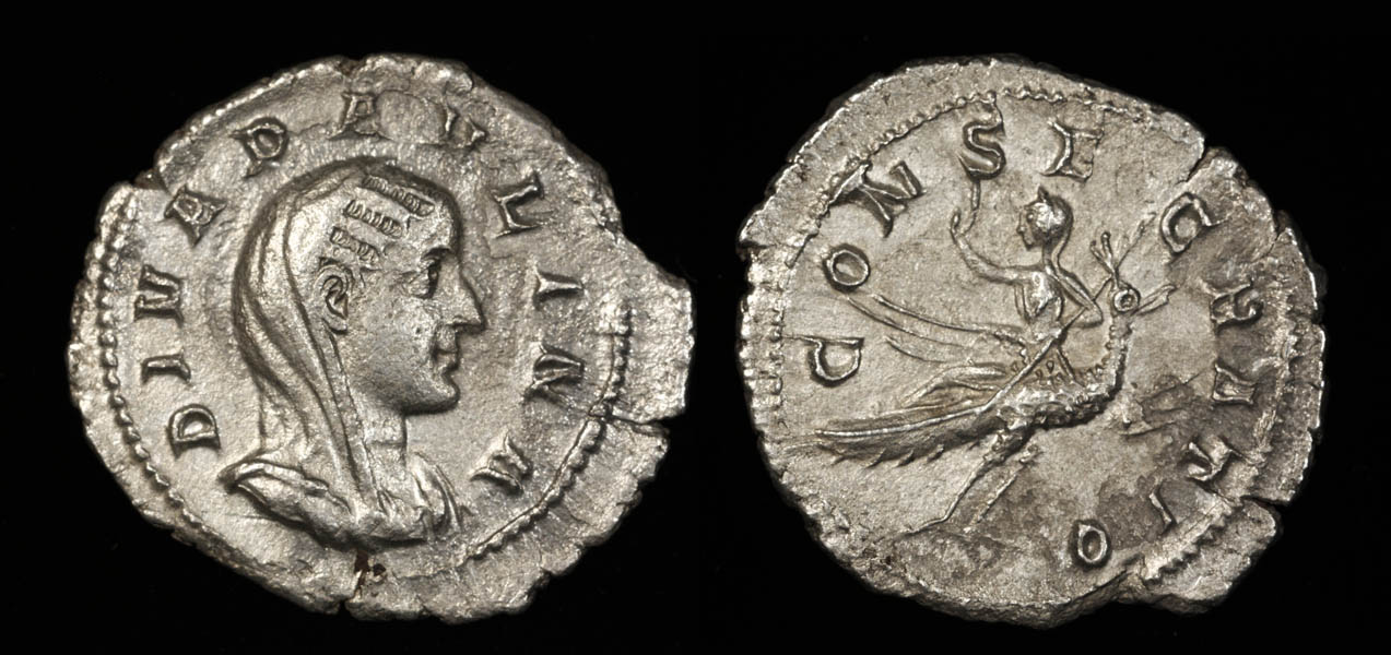 13bPaulina.jpg