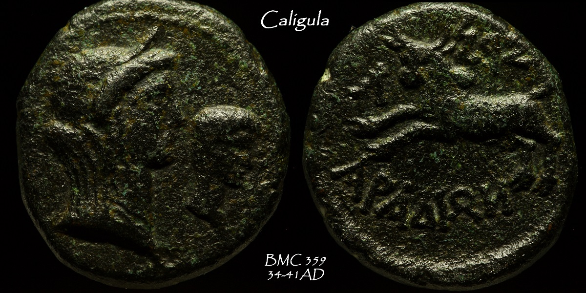 13c copy.jpg
