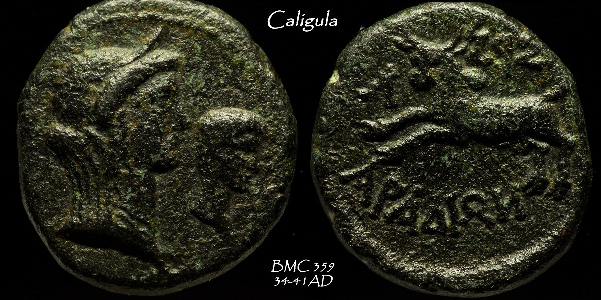 13c copy.jpg