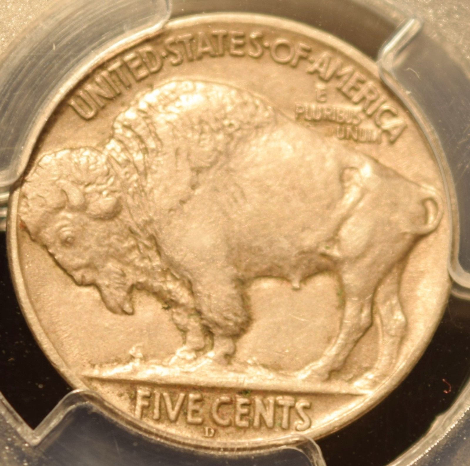 13D T2 Reverse.jpg