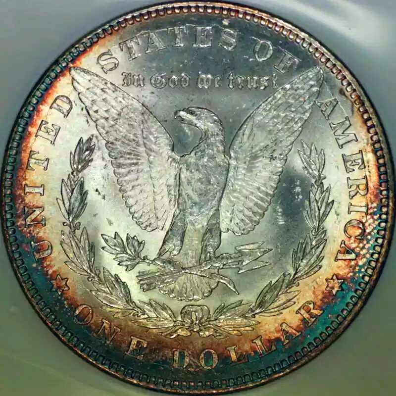1419466982567.jpg