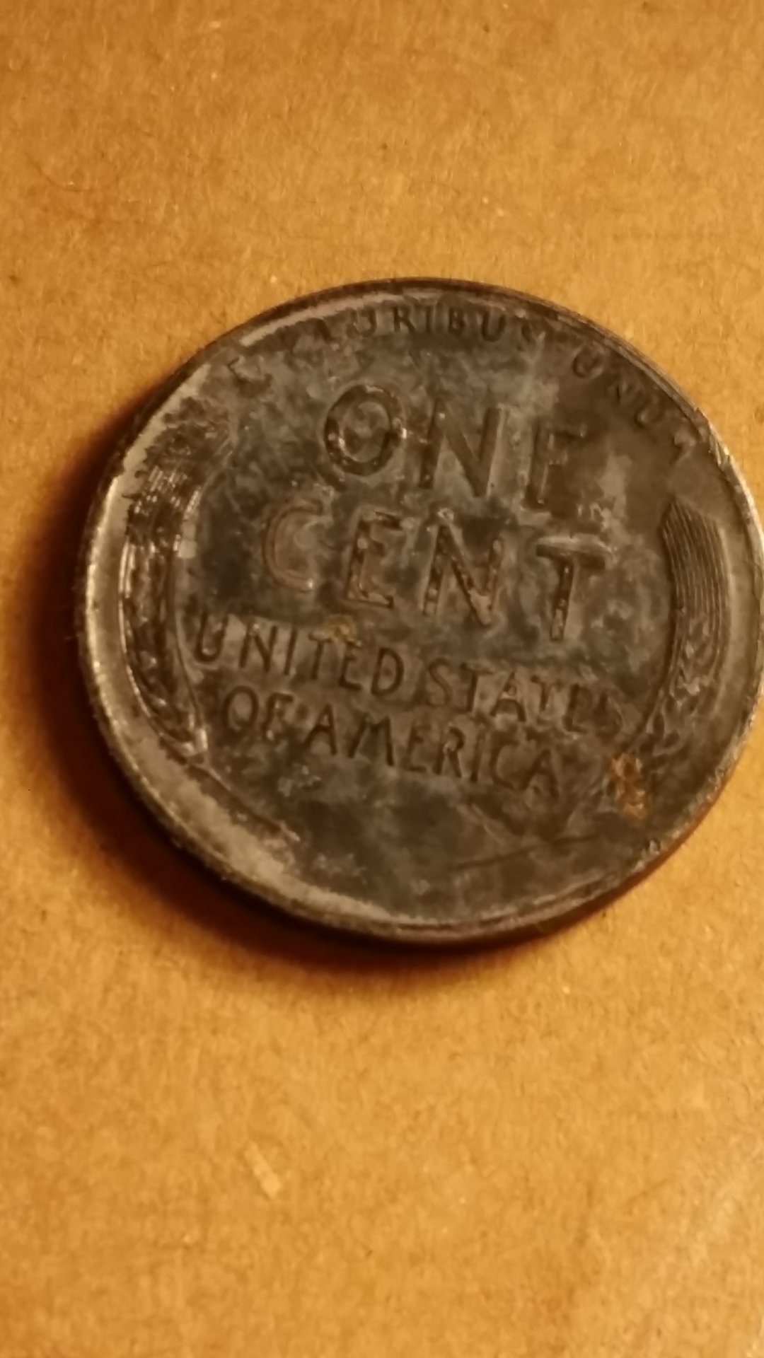 1426941496775.jpg