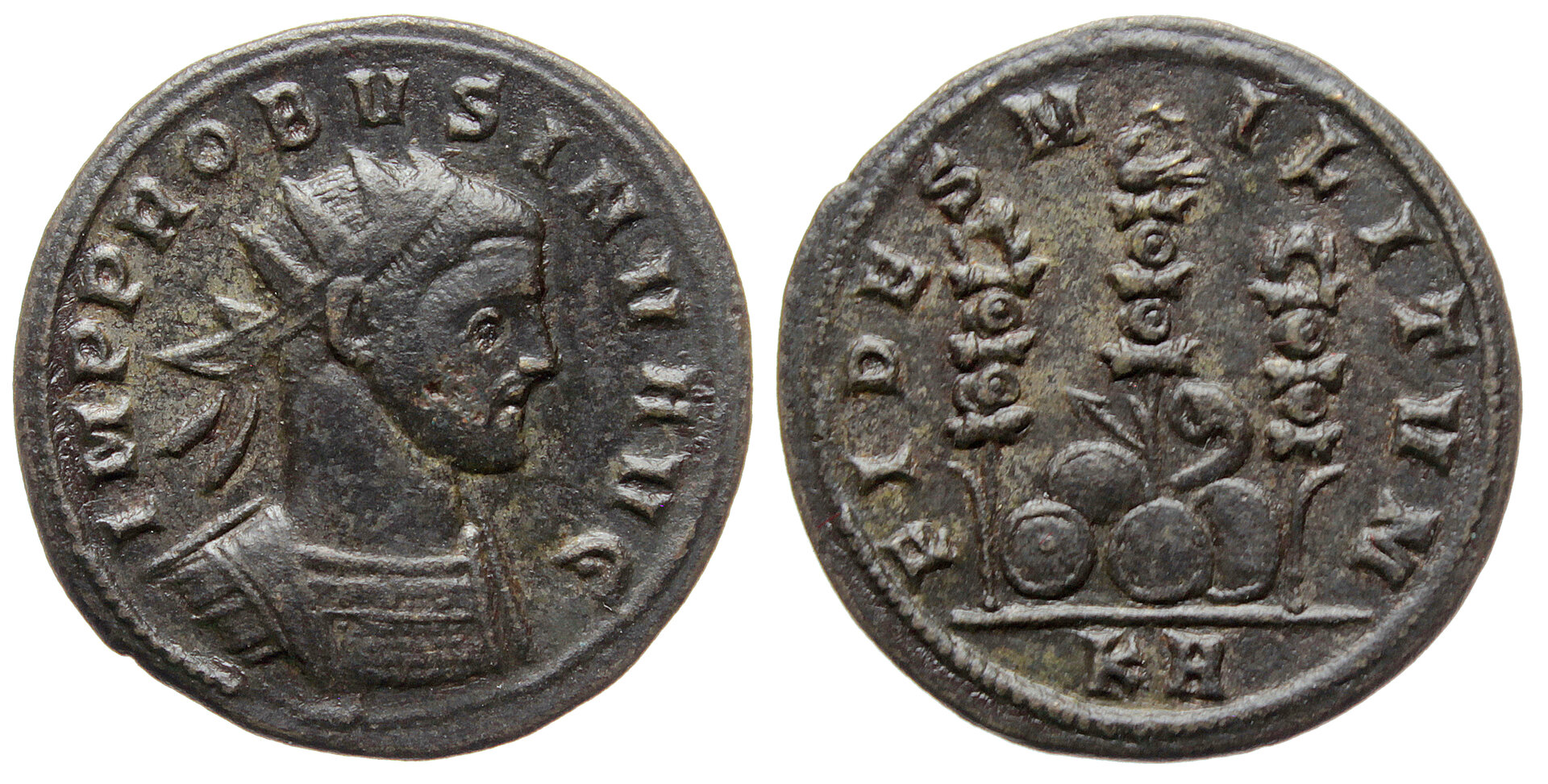 1428.JPG