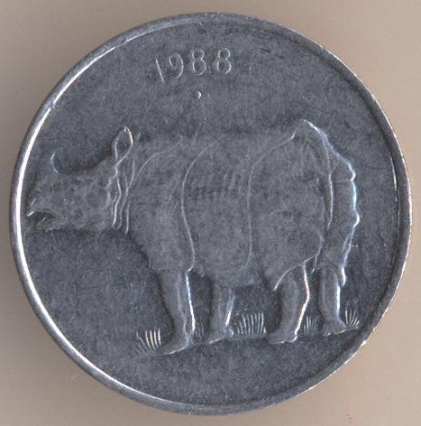 144.jpg