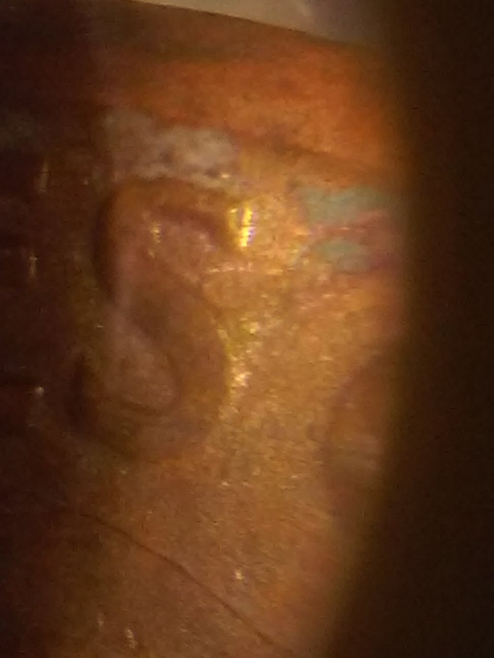 1442374066573.jpg