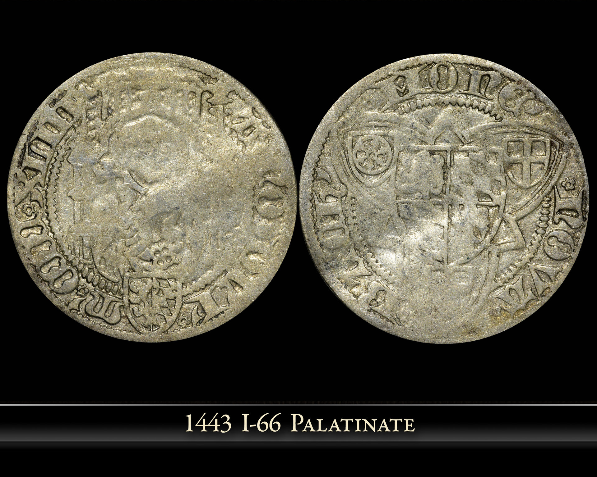 1443-Pfalz-Kurli.jpg