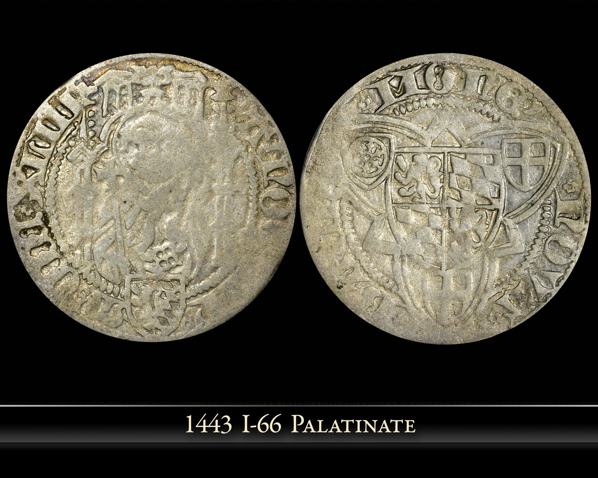 1443-pfelz.jpg