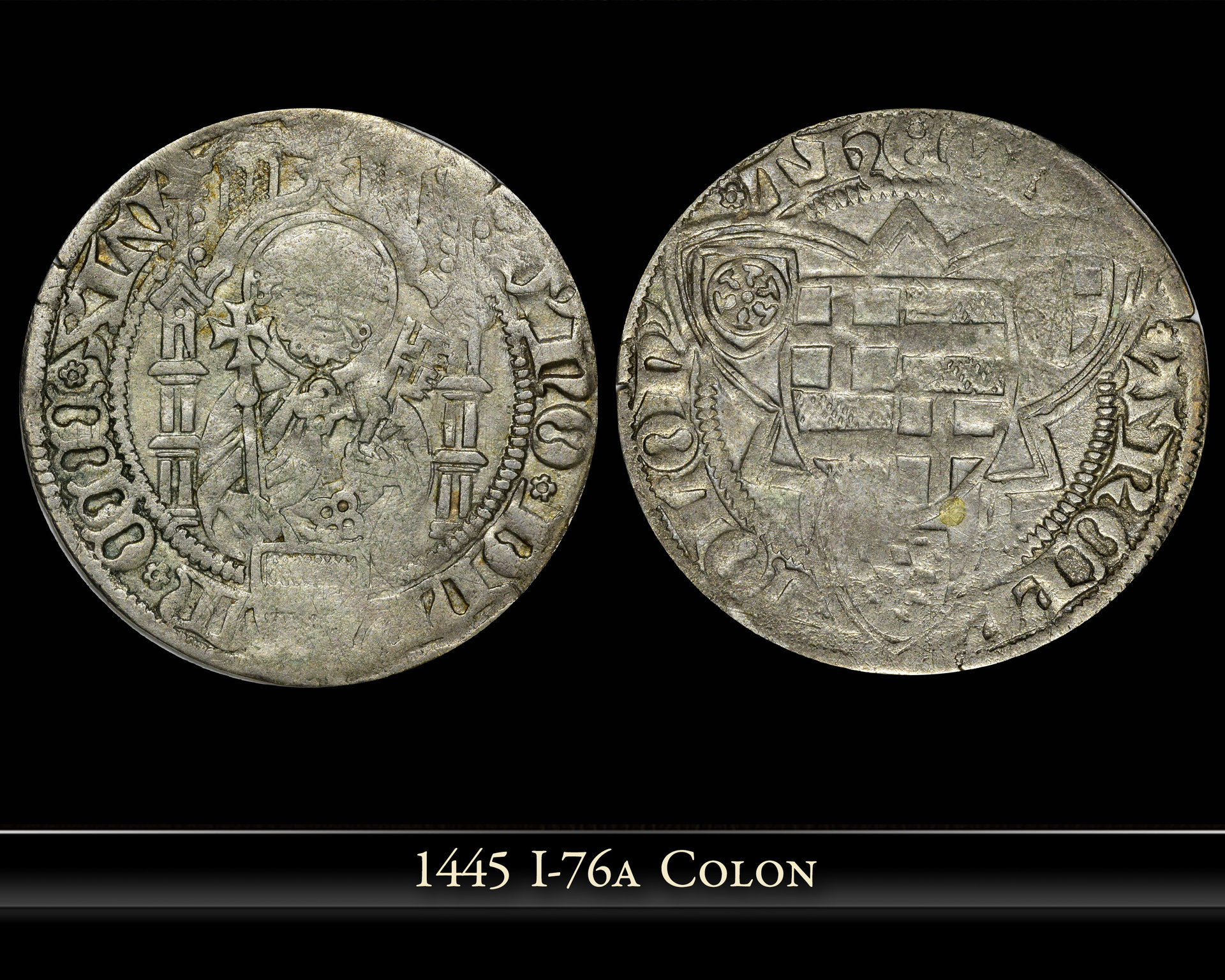 1445 colon copy.jpg