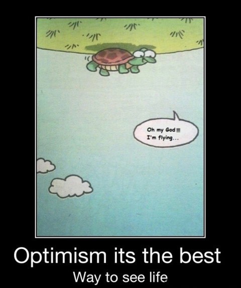1448614127-upside_down_turtle_quote-3579.jpg