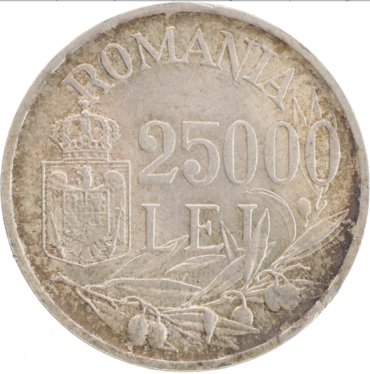 145.jpg
