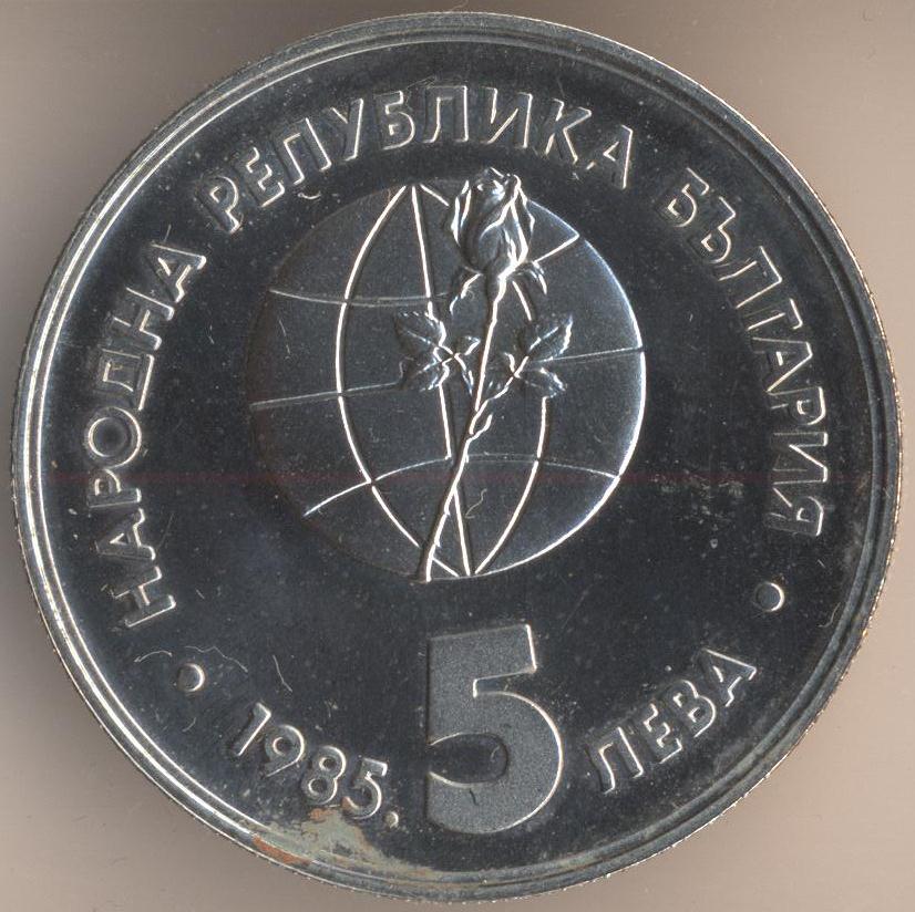 145.jpg