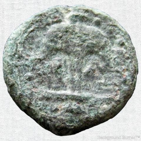 1456560254-1231847-9074.jpg