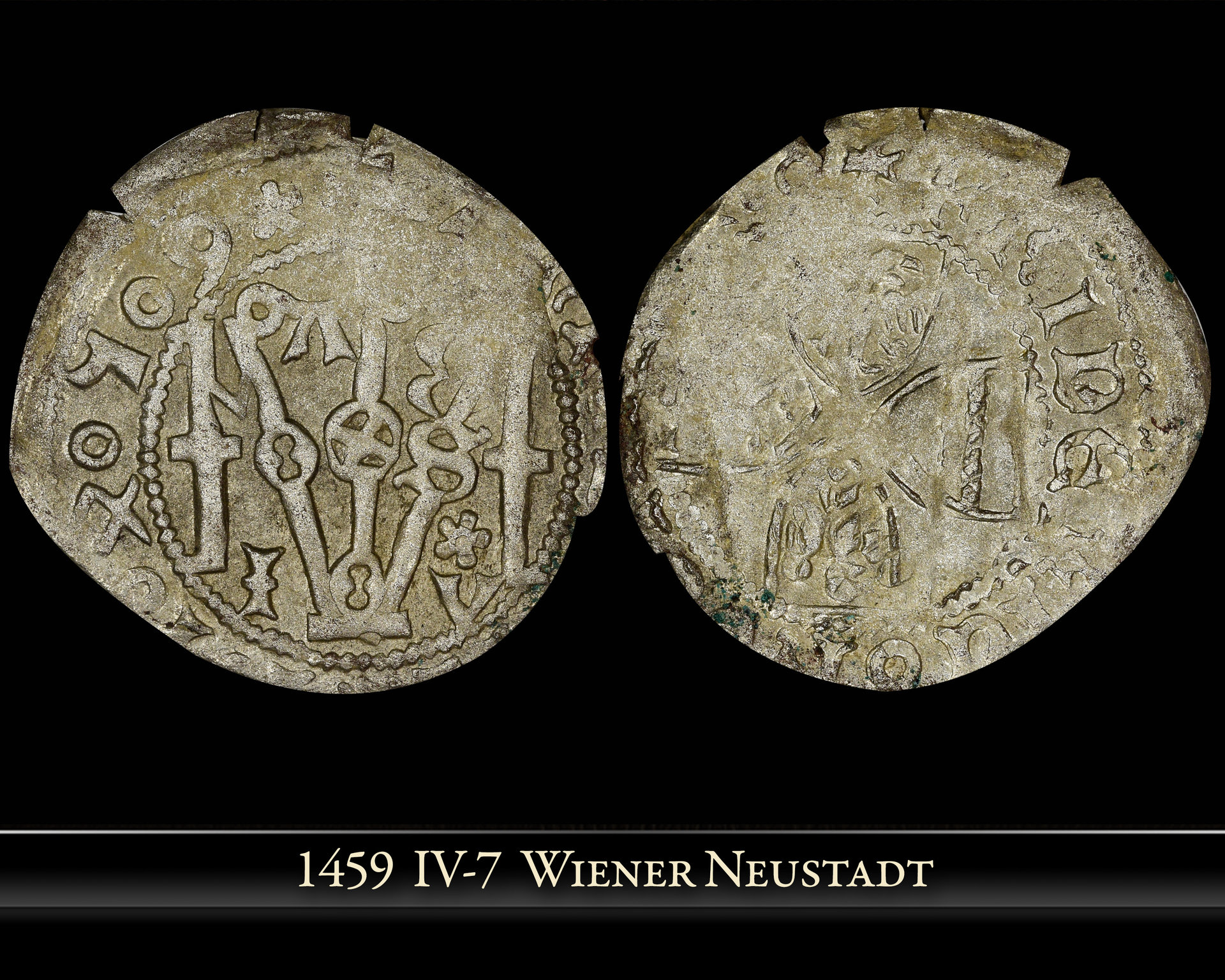 1459-Wiener-IV-7.jpg