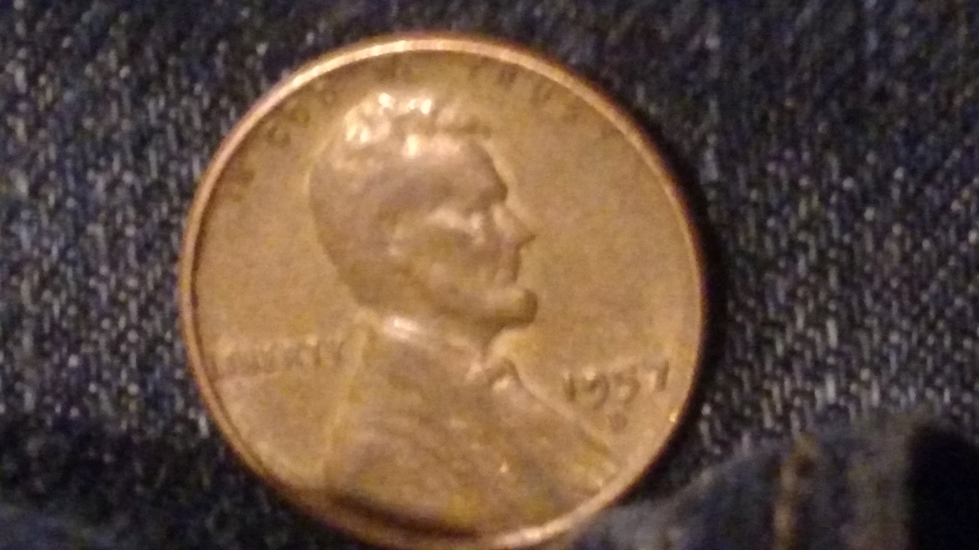 1462313436480-1571762906.jpg