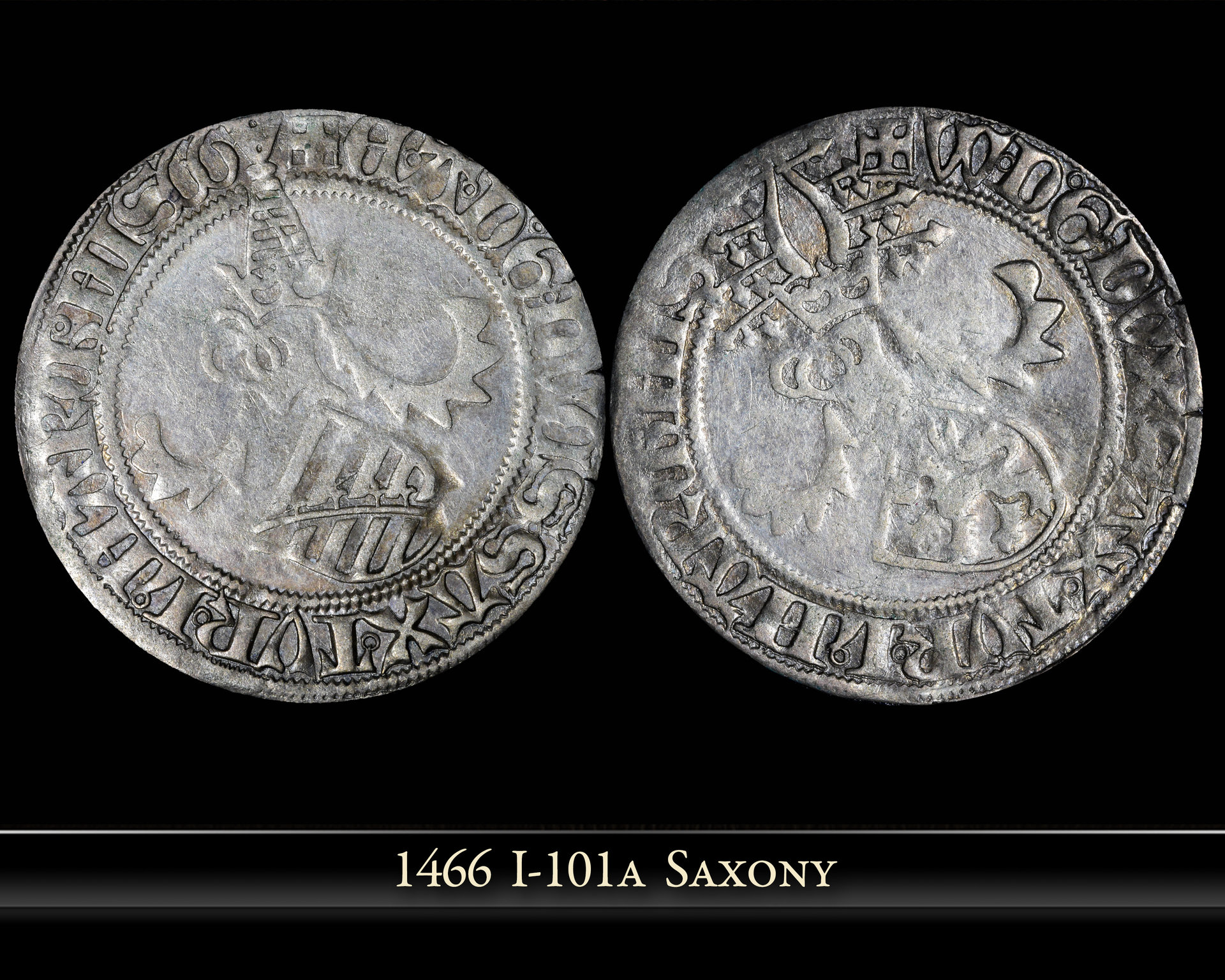 1466 - 1-lola Saxony copy.jpg