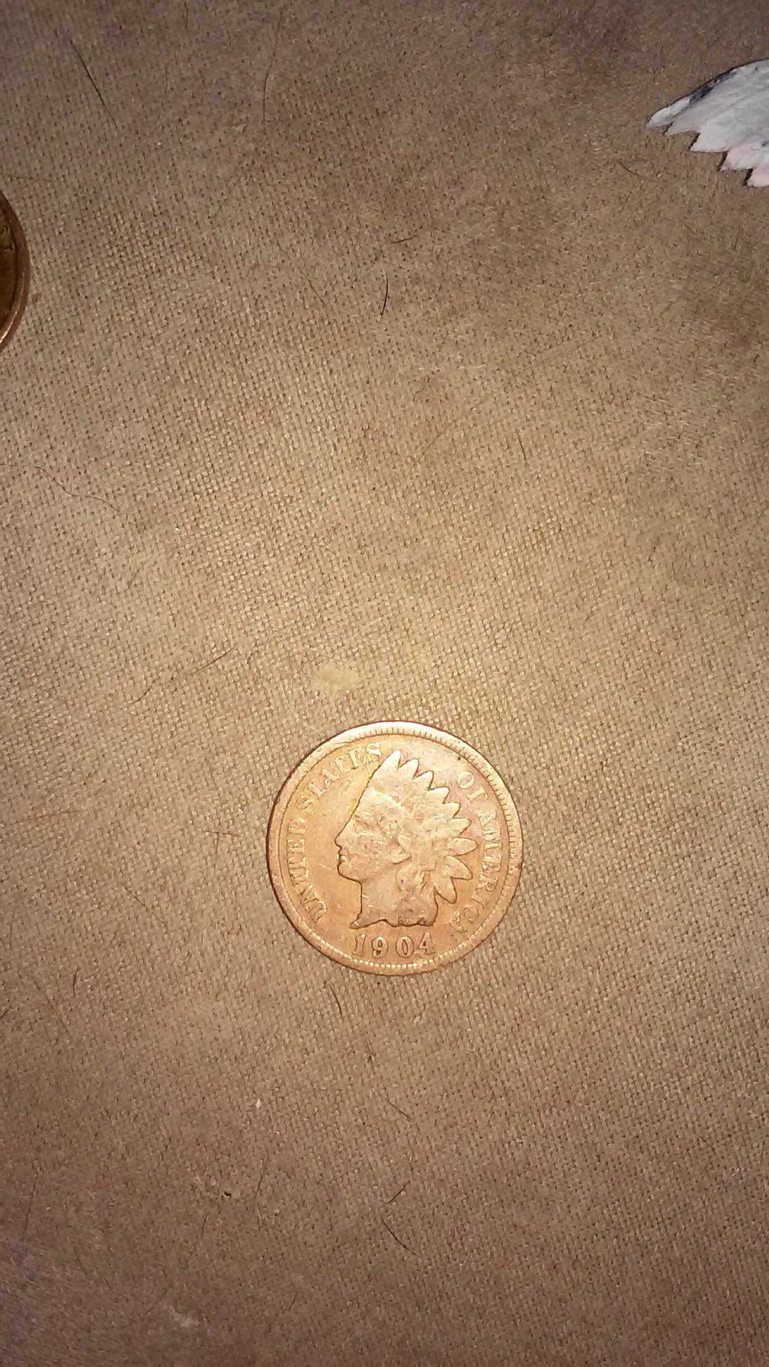 1469758103804.jpg