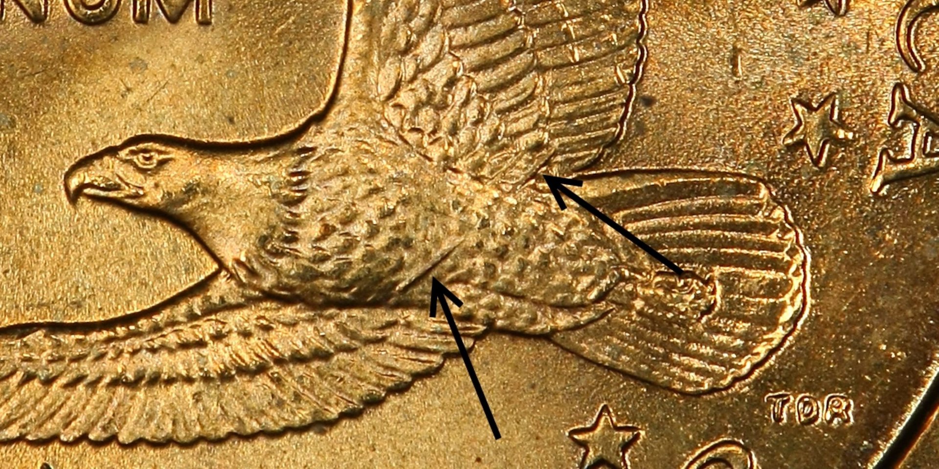 147883_37657765_2200.jpg