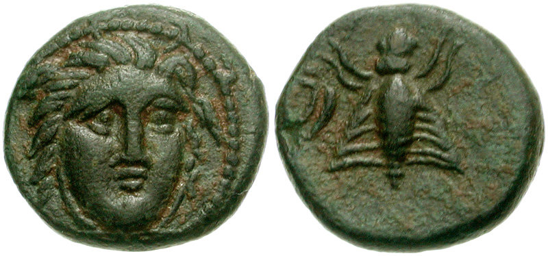 1480145.jpg