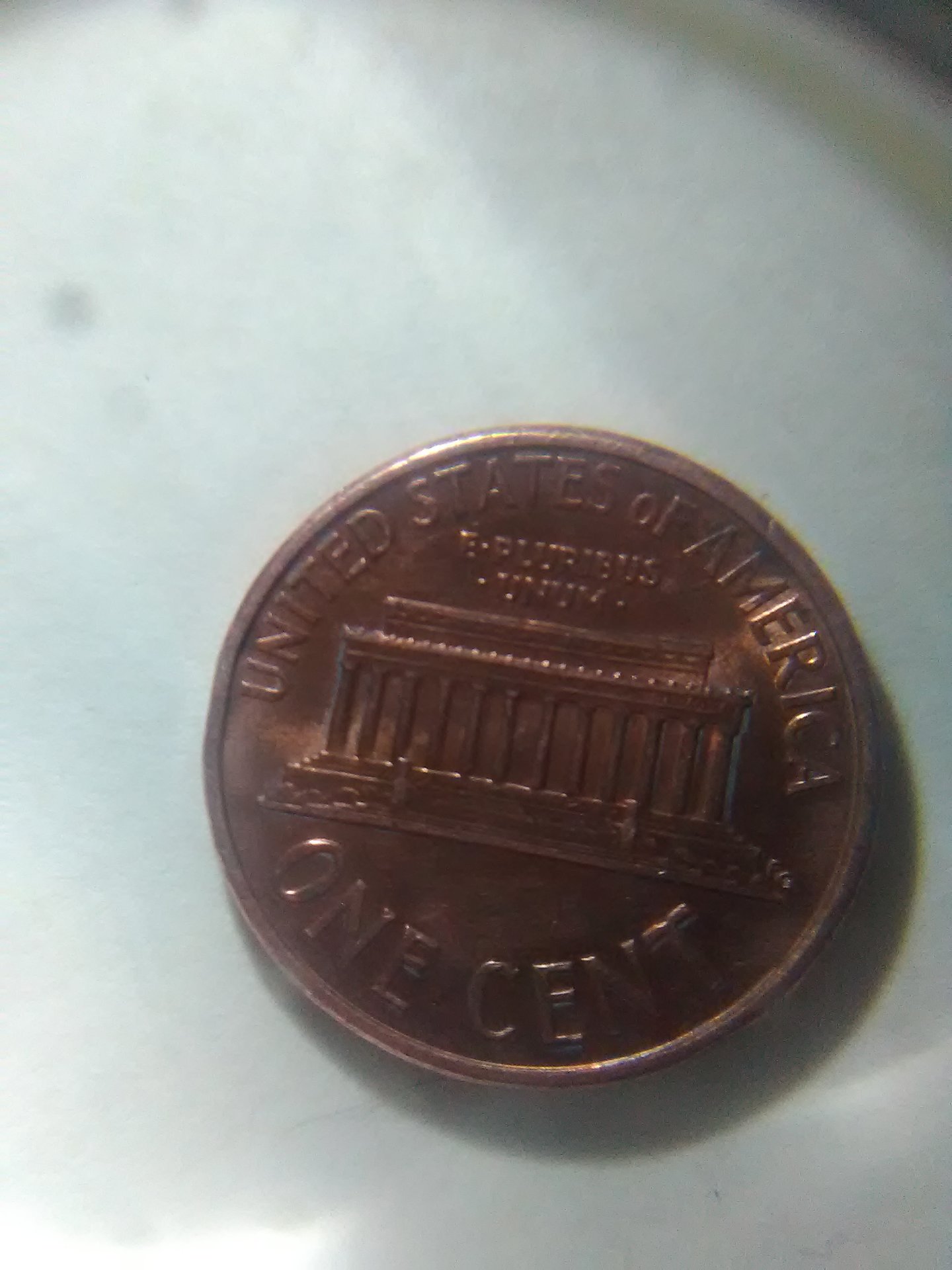1486880775957-2018615280.jpg