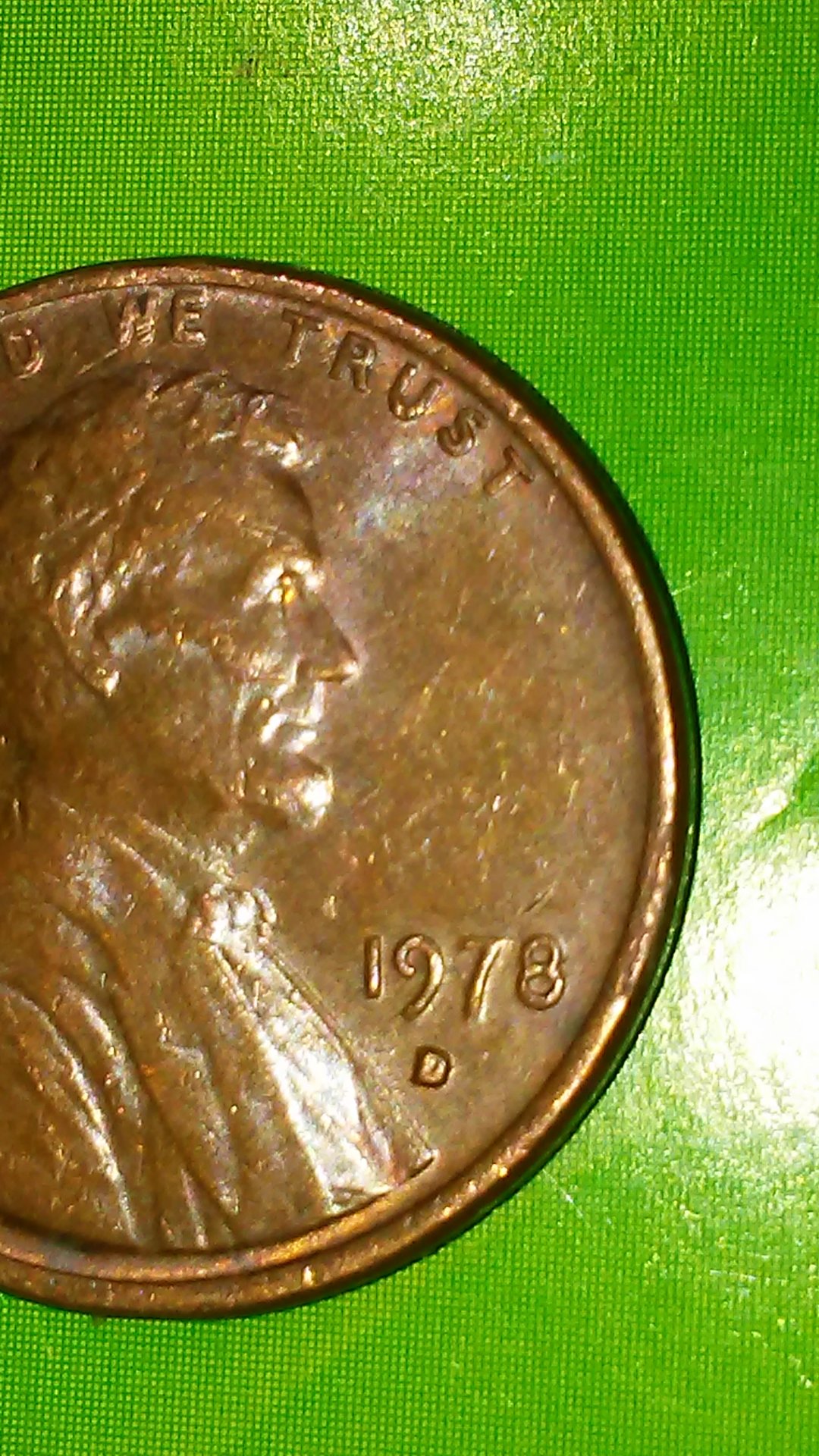 14875163372653040404.jpg