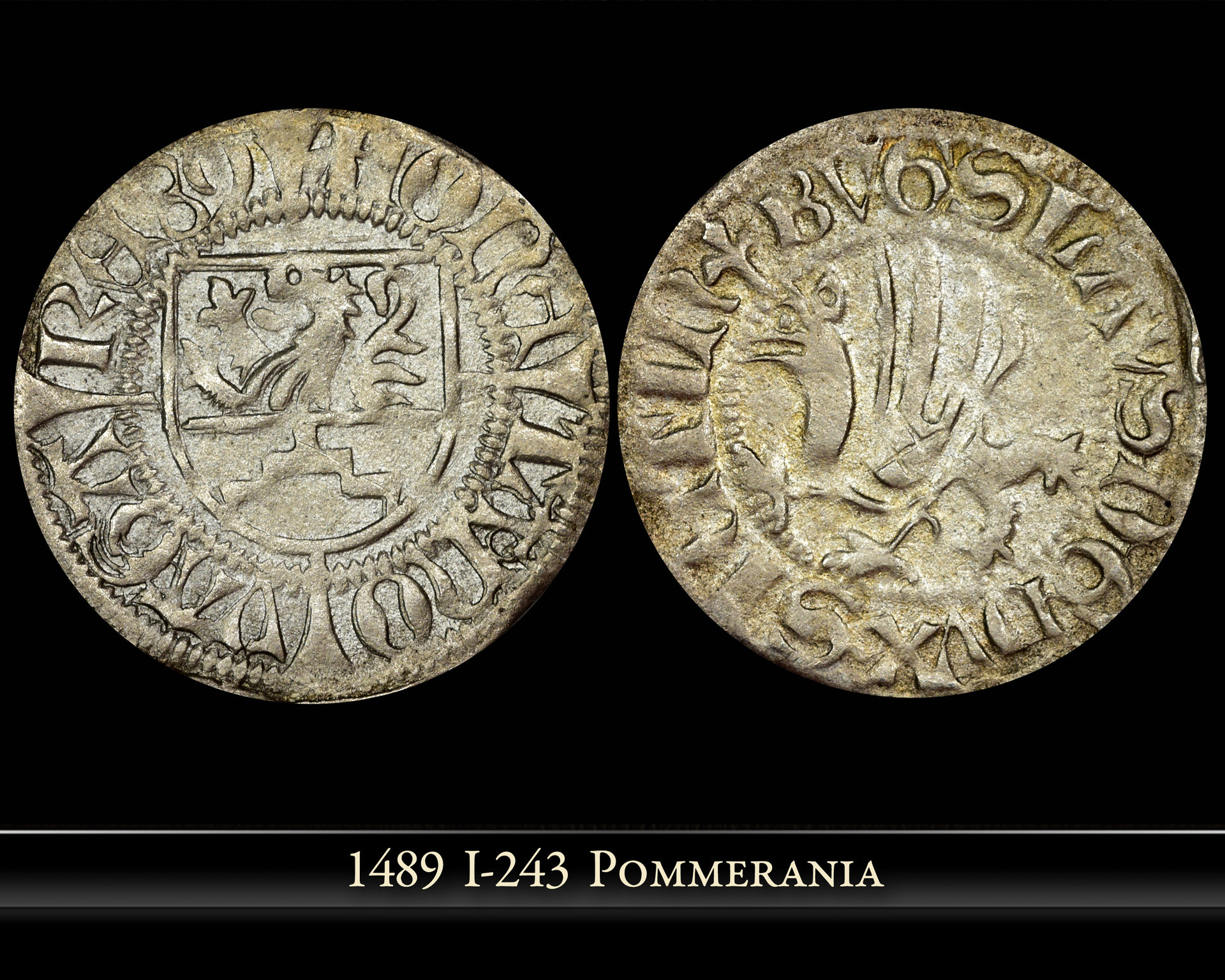 1489-i243.jpg