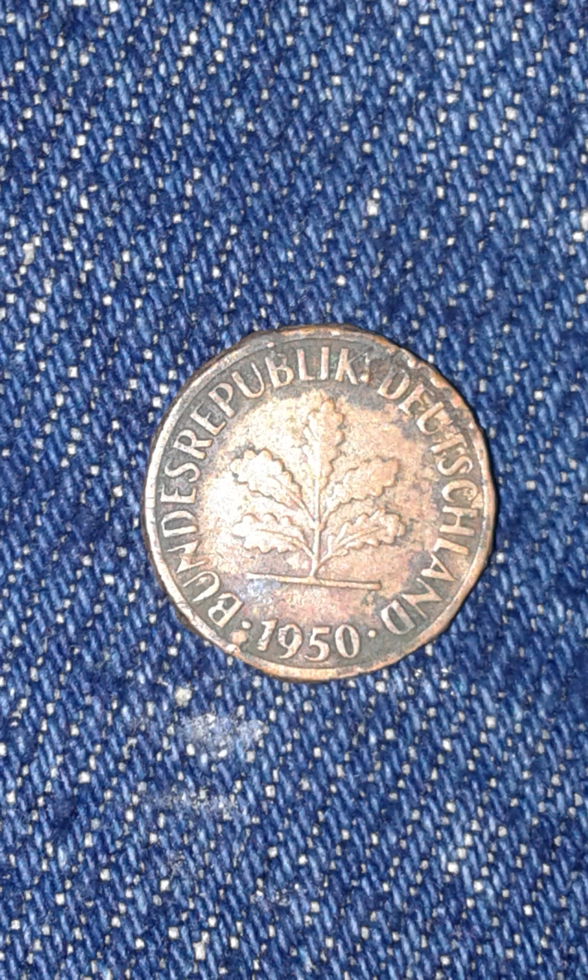 14895175381431075131928.jpg