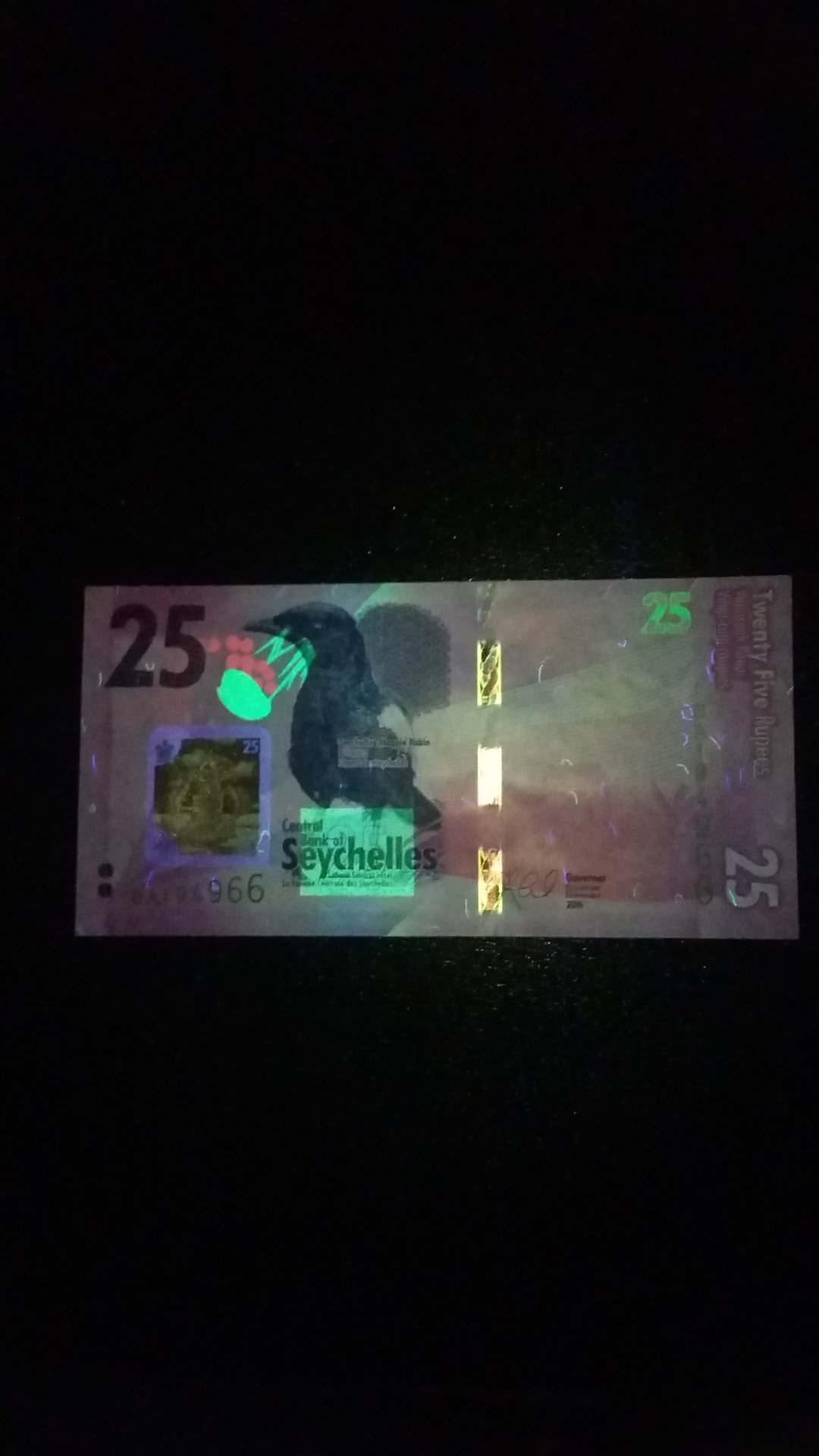 149387338683750301936.jpg
