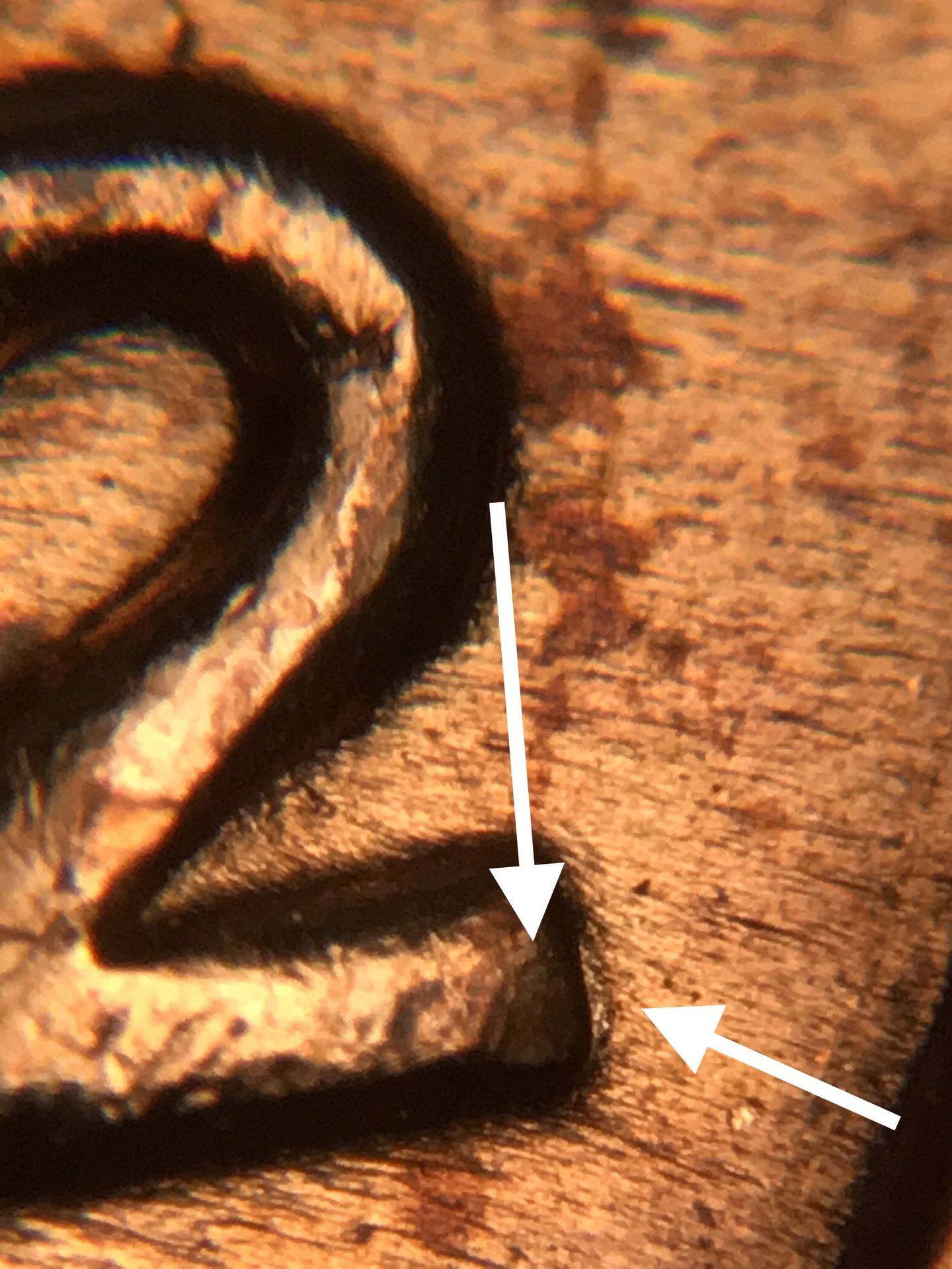 14CBE856-4BC8-41B4-BA07-38D477AC9851.jpeg