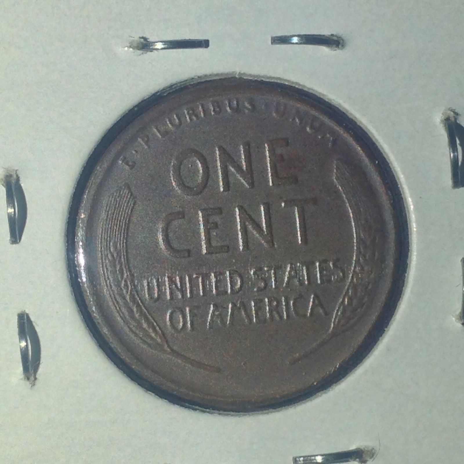 14d.jpg
