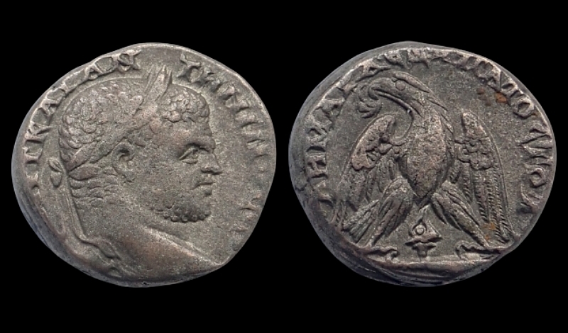 (15)Caracalla.jpg