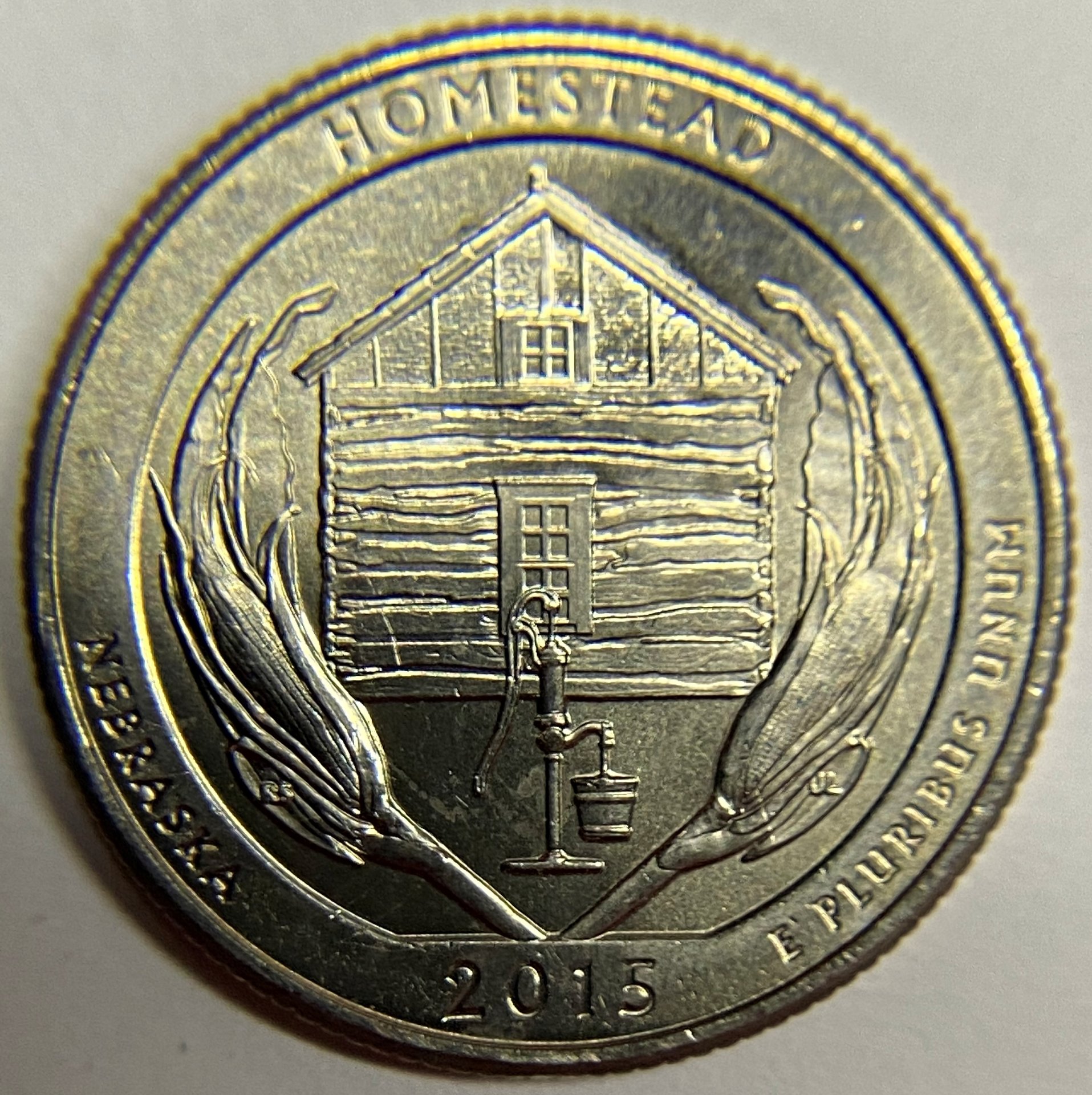 15 Home orev.JPG
