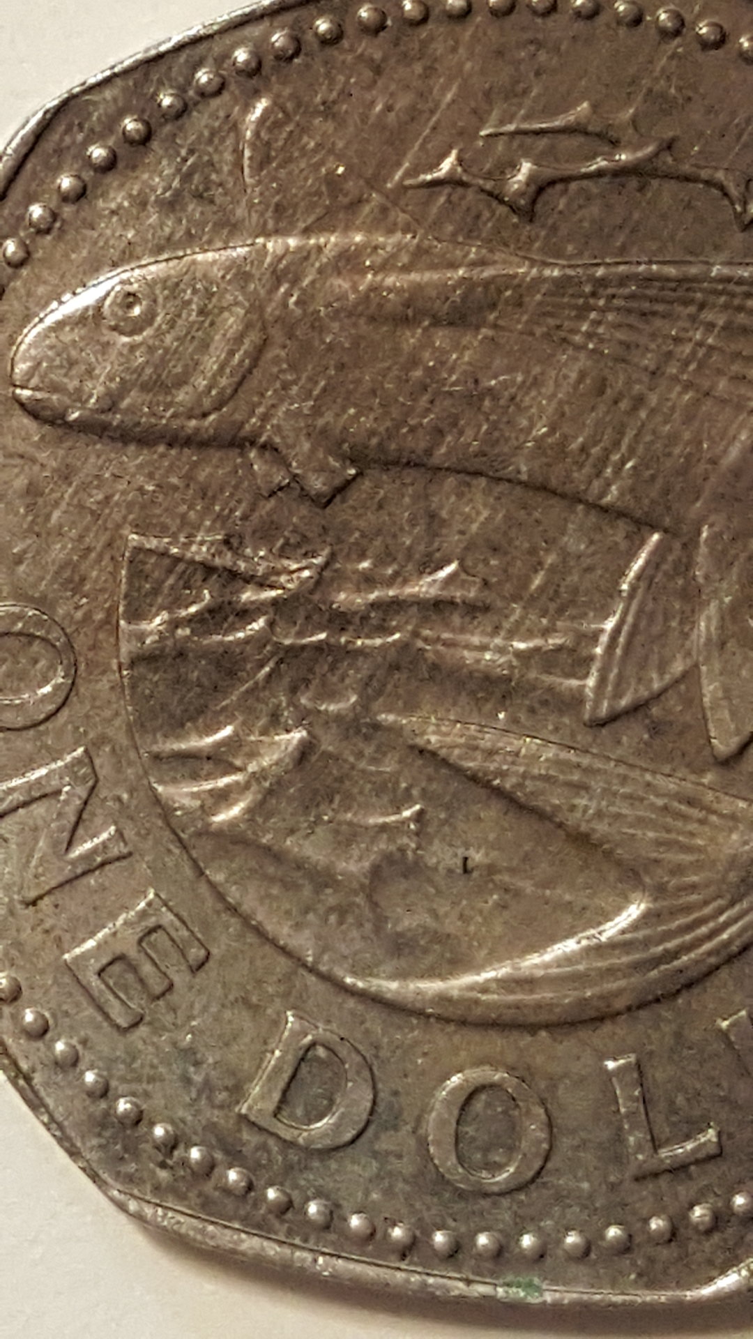 1502683140034891267872.jpg