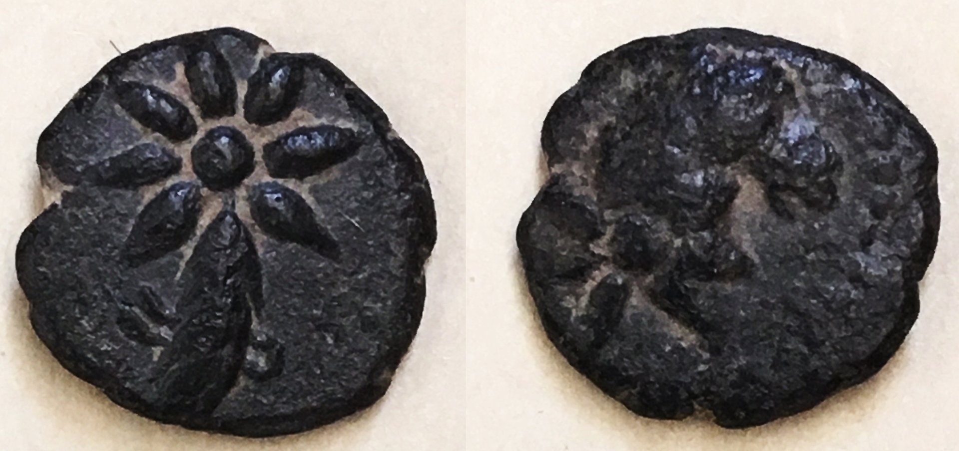 1504 comet gr.jpg