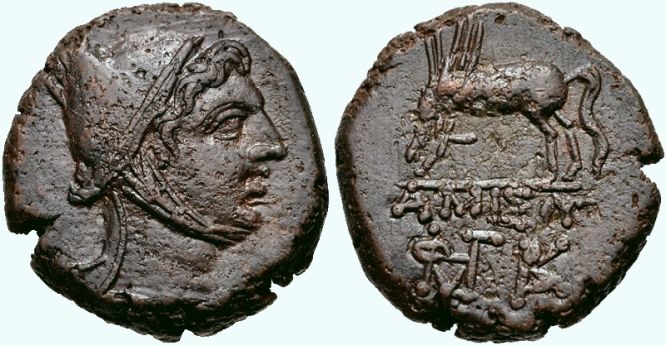 1509 Pontos Amisos Mithradates VI Pegasus ct.jpg