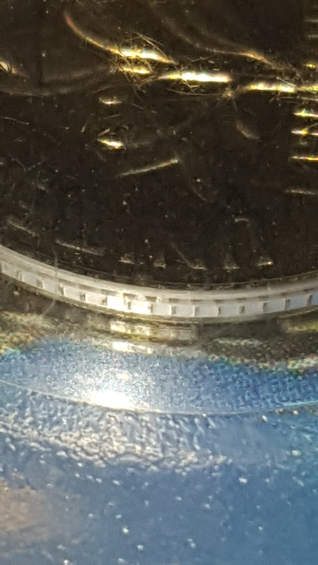 1512081227993559844242.jpg