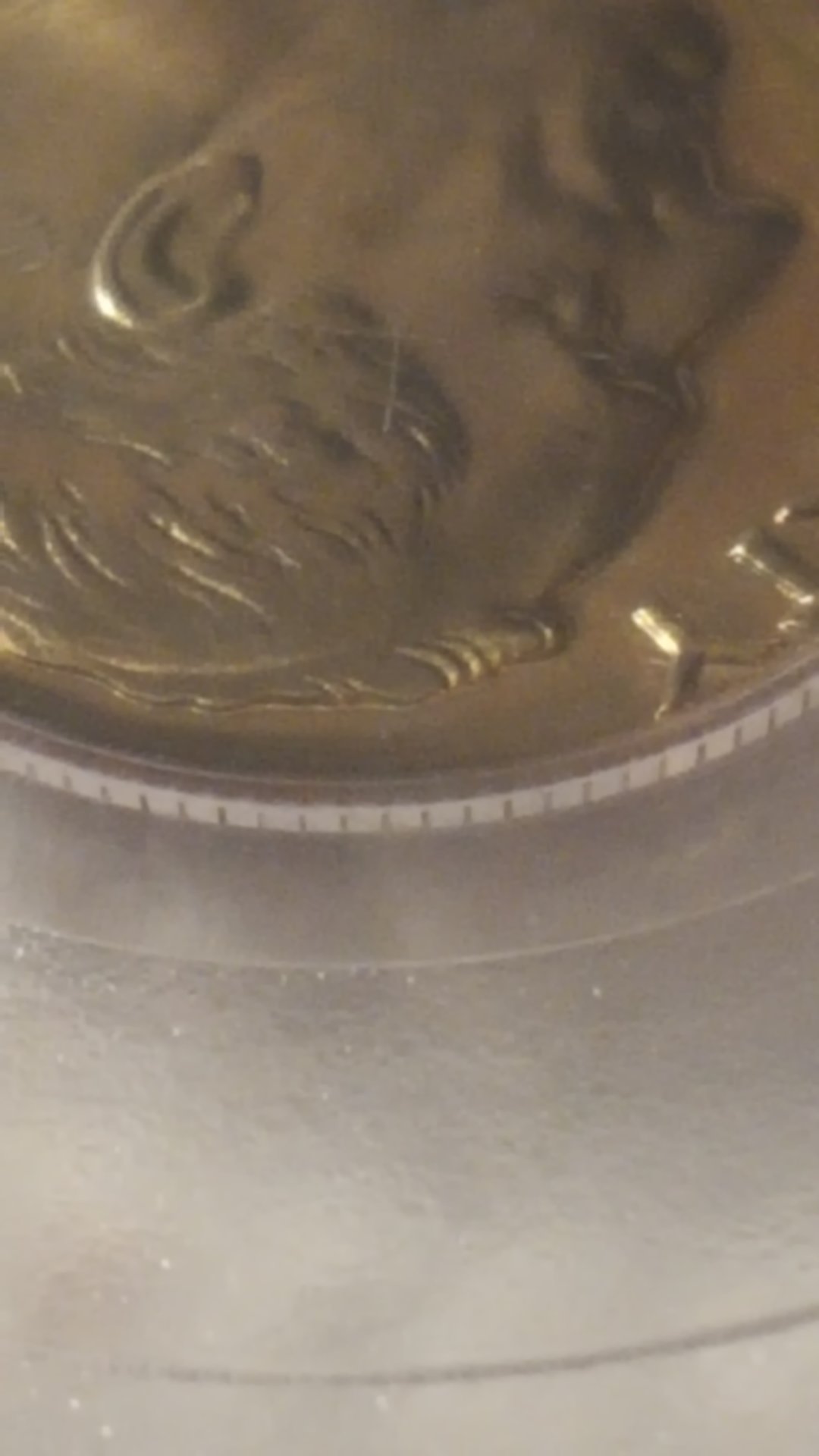1512082085093650378538.jpg