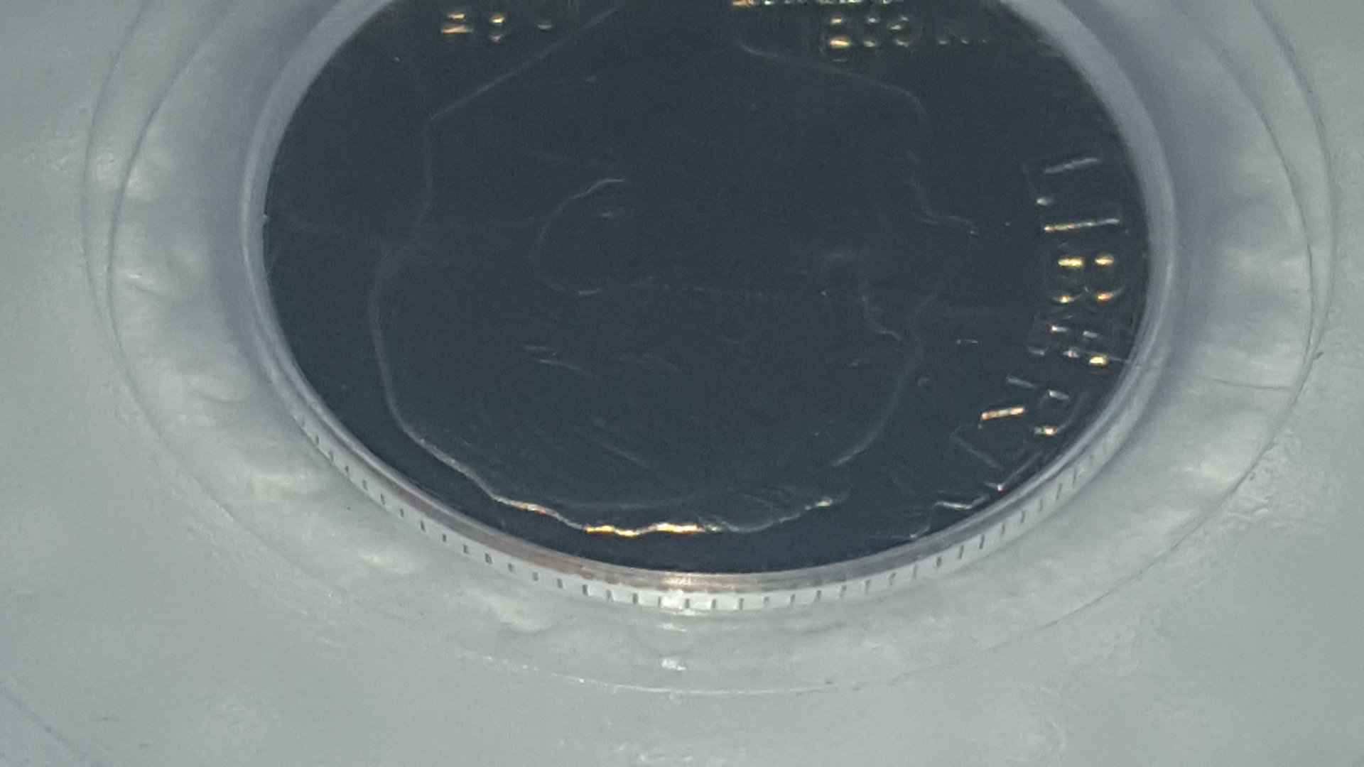 1512083971284198211620.jpg