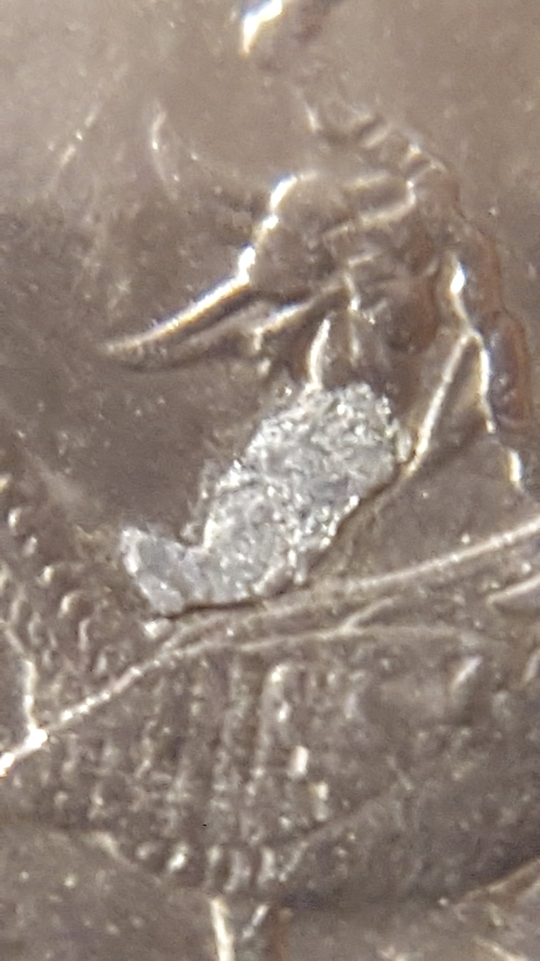15127034029671647601944.jpg