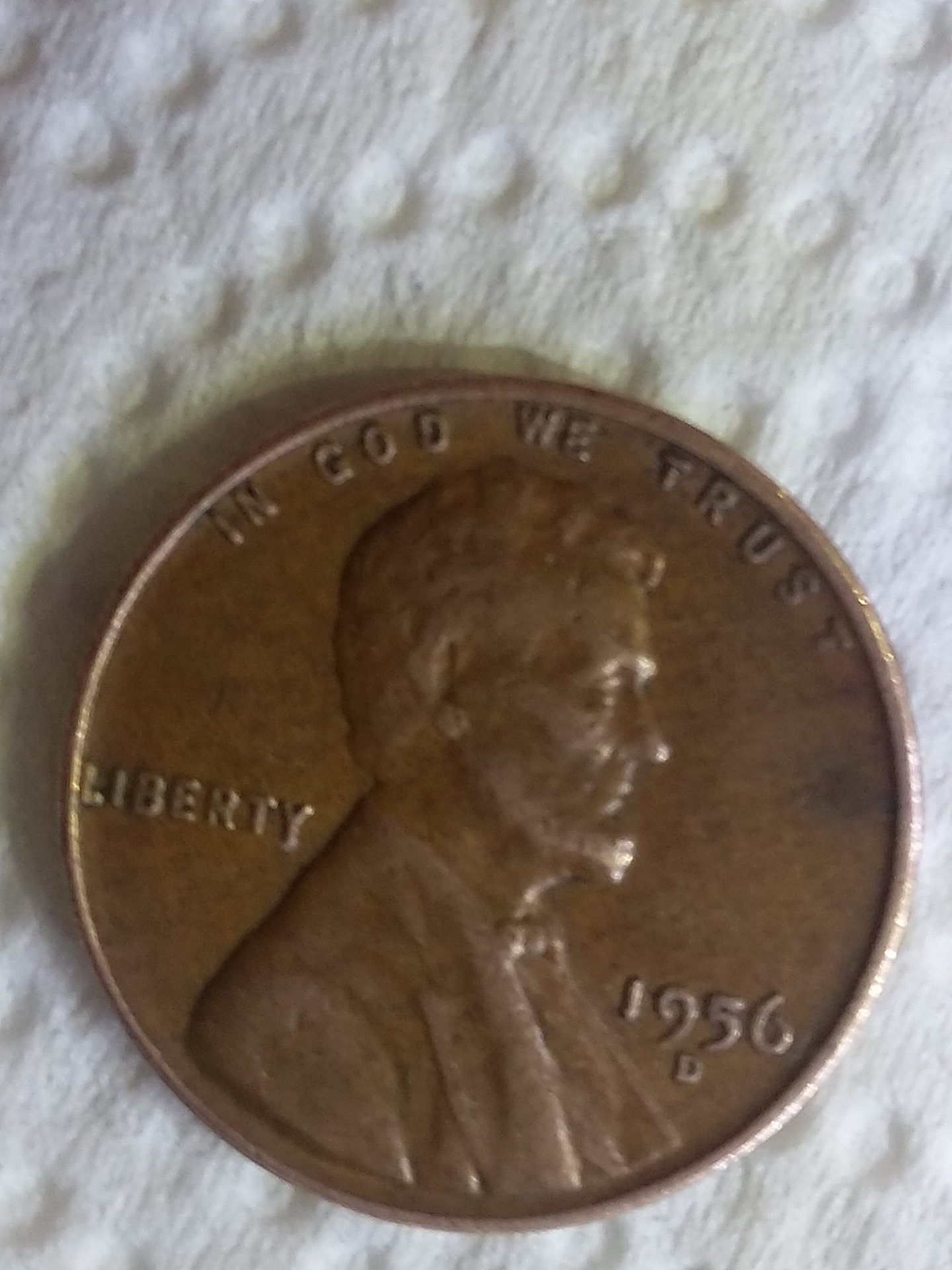 1512761854810-300991533.jpg